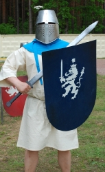 Рыцарский турнир