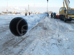 ПРОТЕКТ D 800